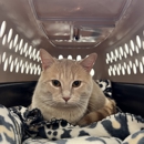 VCA Parkway Animal Hospital - Pet Services