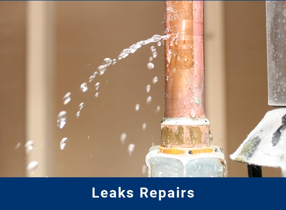 Westside Handyman and Roofing service - Yarrawonga Park, NSW. Leaks Repairs