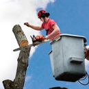 Broadleaf Tree Care - Tree Service