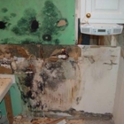 Advanced Mold Detection Services