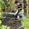 Pro-Force Pest Solutions gallery