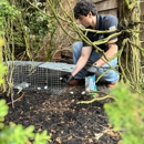 Pro-Force Pest Solutions - Pest Control Services