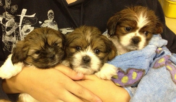 Select Pets Bicton - East Fremantle, WA