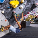 Central Rock Gym - Hadley - Climbing Equipment
