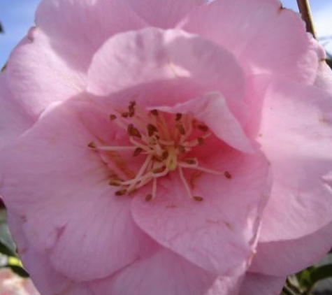 Mittagong Garden Centre - Mittagong, NSW