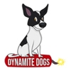 Dynamite Dogs Training & Grooming gallery