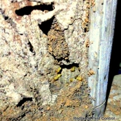 Gallery Image Number 4