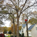 Cantrell's Tree & Land Management - Tree Service