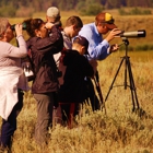 Yellowstone Hiking Guides