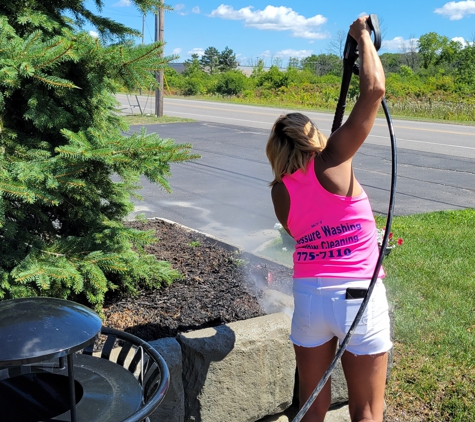 Suzy's Pressure Washing & Window Cleaning - Grand Island, NY