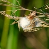 A & B Exterminators gallery