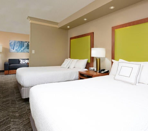 SpringHill Suites by Marriott - Lynchburg, VA