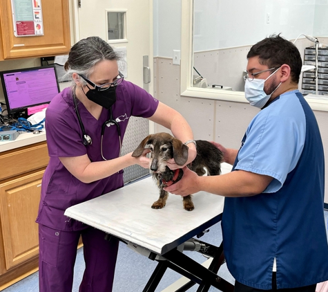 VCA University Veterinary Clinic - Fairfax, VA