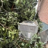 Goff's Tree Service gallery