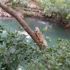 Florida Keys Aquarium Encounters