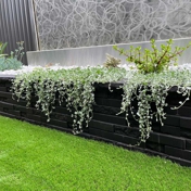 Gallery Image Number 6