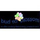Bud To Blossom Children's School of Discovery - Educational Services