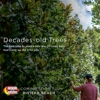 Moon Valley Nurseries gallery