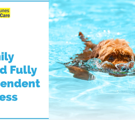 Neptunes Pool Care - Morayfield, QLD. A Family Owned Fully Independent Business