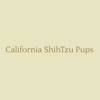 California ShihTzu Pups gallery