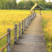 Gallery Image Number 5
