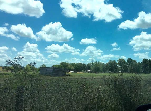 Gramen Farm - Tomball, TX