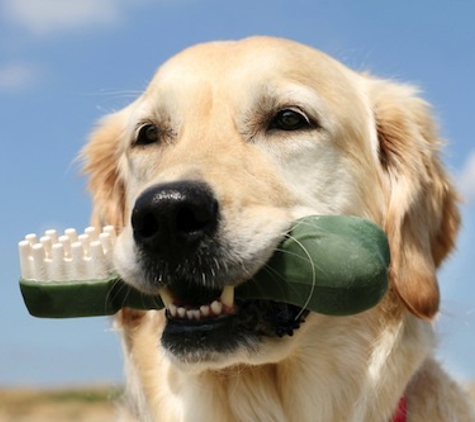 Animal Care Hospital - Long Beach, MS