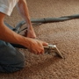 Majestic Carpet & Upholstery Cleaning