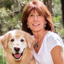 Aspen Family Dog Training - Dog Training