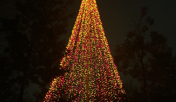 Atlanta Botanical Garden - Atlanta, GA. Tree of lights