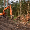 Buckeye Tree Service Solutions