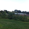 Intervale Community Farm gallery