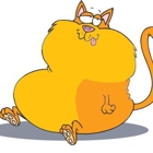 Fat Cat Bistro Inc
