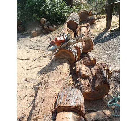 Mckill's Tree Service - Berrambool, NSW