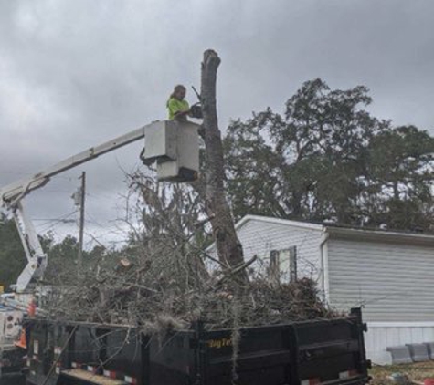 Charles Duff Tree Service. Final touches on a dead tree