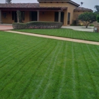 JA Castellanos Landscaping