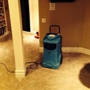 Carpet Clean San Jose