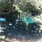 Juniper Springs Recreation Area