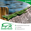 iguana police - Pest Control Services