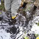 Global Environmental Operations, Inc.