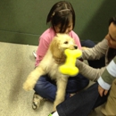 Petland Montgomery - Pet Stores