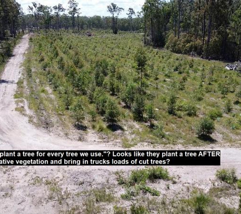 Ironwood Taree Pty Ltd - Pampoolah, NSW. Some trees planted, and native vegetation removed
