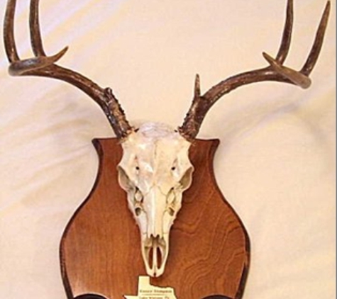 True-To-Nature Taxidermy - Palmyra, NY