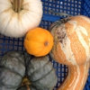 Kankakee Farmers' Market gallery