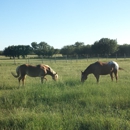 Texas Star Farm - Camps-Recreational