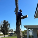 Southern Standard Tree Service