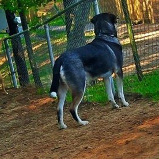 Windhill Apartments - Nacogdoches, TX. Windhill Bark Park