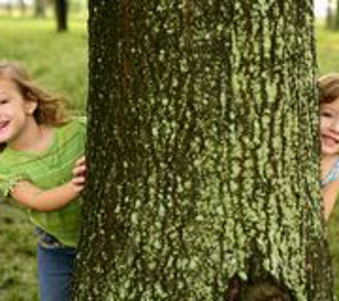 MYTREEMAN TREE SERVICE - Marietta, GA