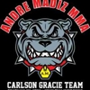 Andre Madiz MMA gallery