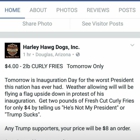 Harley Hawg Dogs